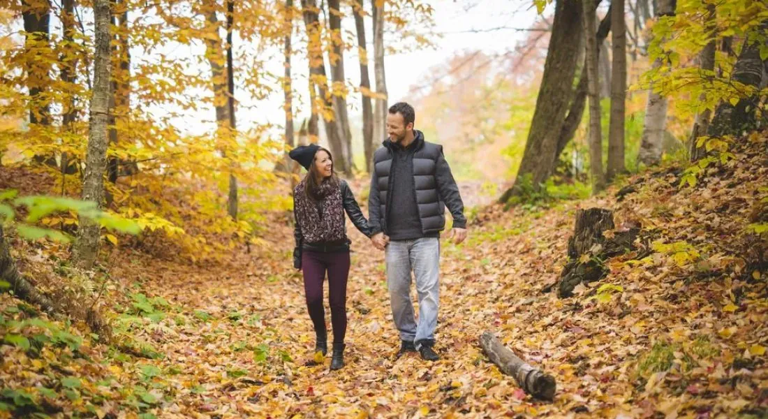 Herfstbos bij Horst